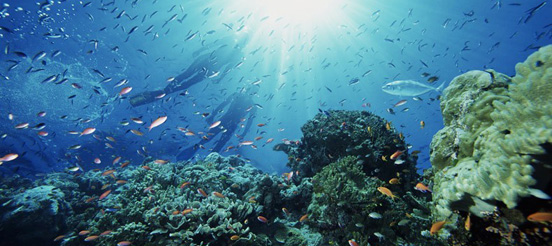 Great Barrier Reef